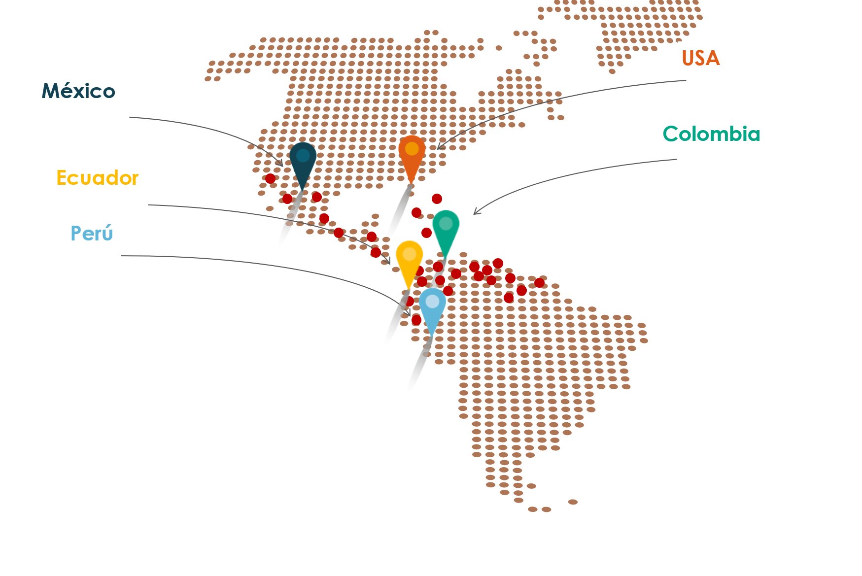 Final de Línea y Logística